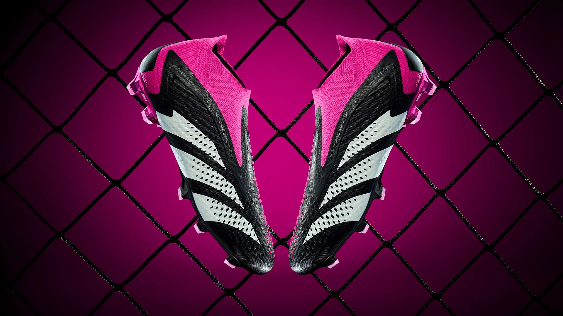 成为本届赛 成为本届赛